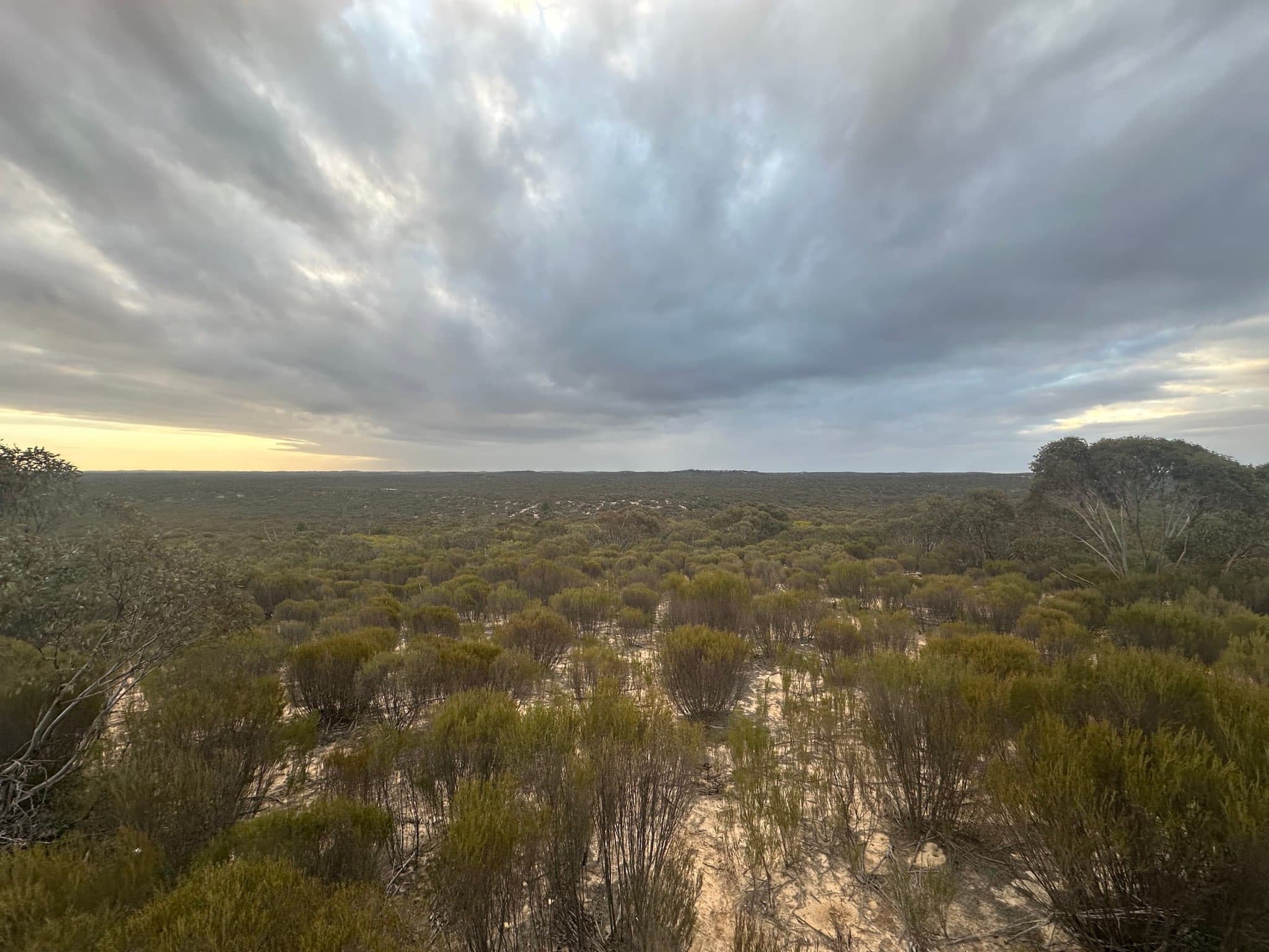 Dusk over open scrubland under a dramatic sky, regional Australia
